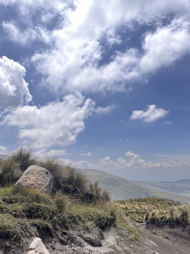 Páramo grasses and rocks under a wide blue sky with clouds